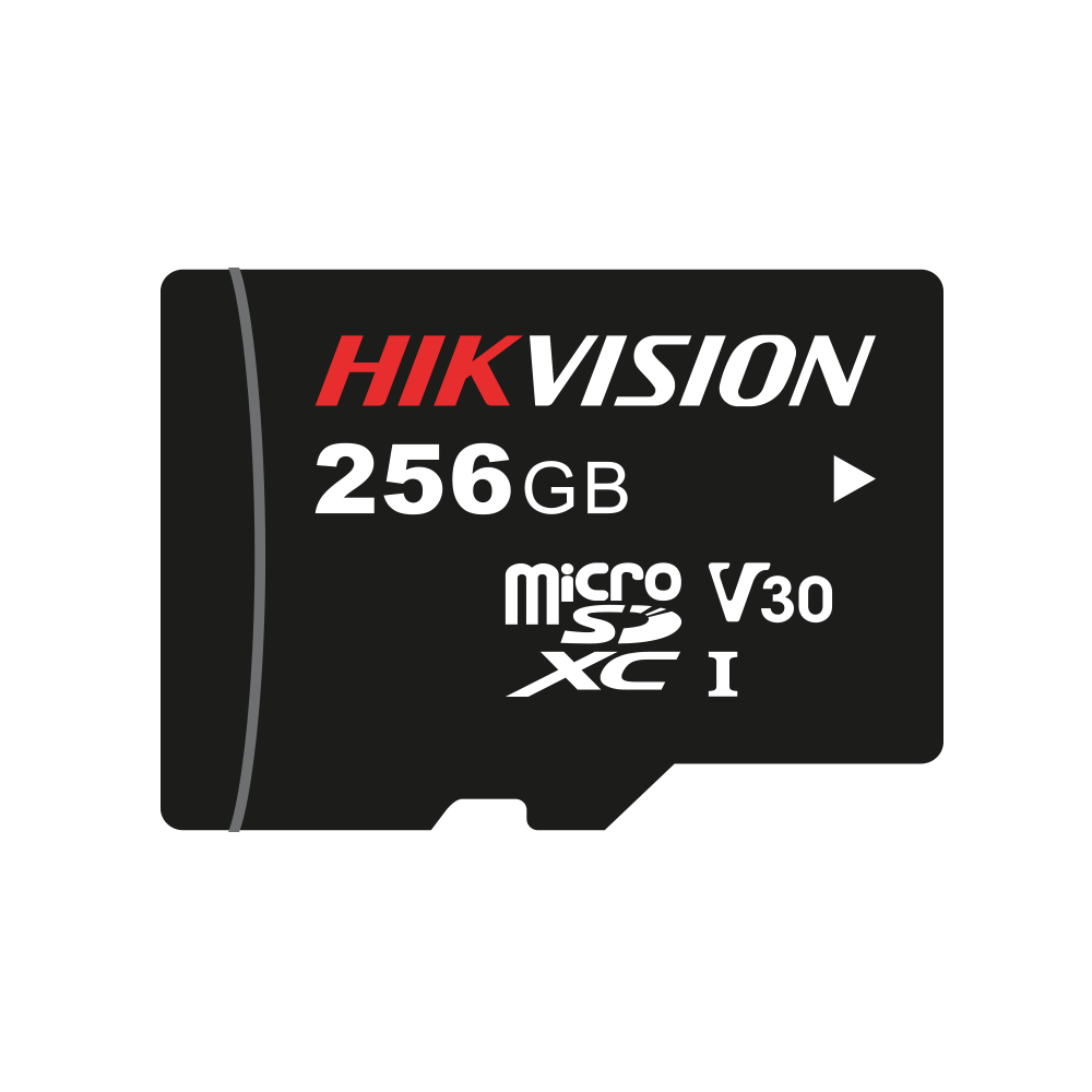 Micro SD de 256GB